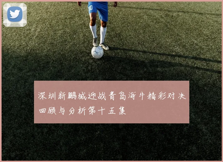 深圳新鹏城迎战青岛海牛精彩对决回顾与分析第十五集